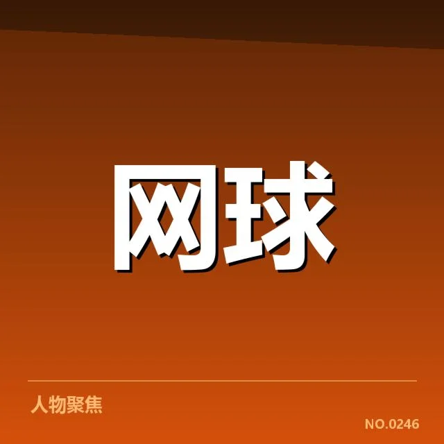 确认的事实:主要球员与比赛安排细节